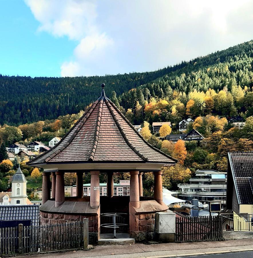 Fewo Sehl Apartman Bad Wildbad Kültér fotó